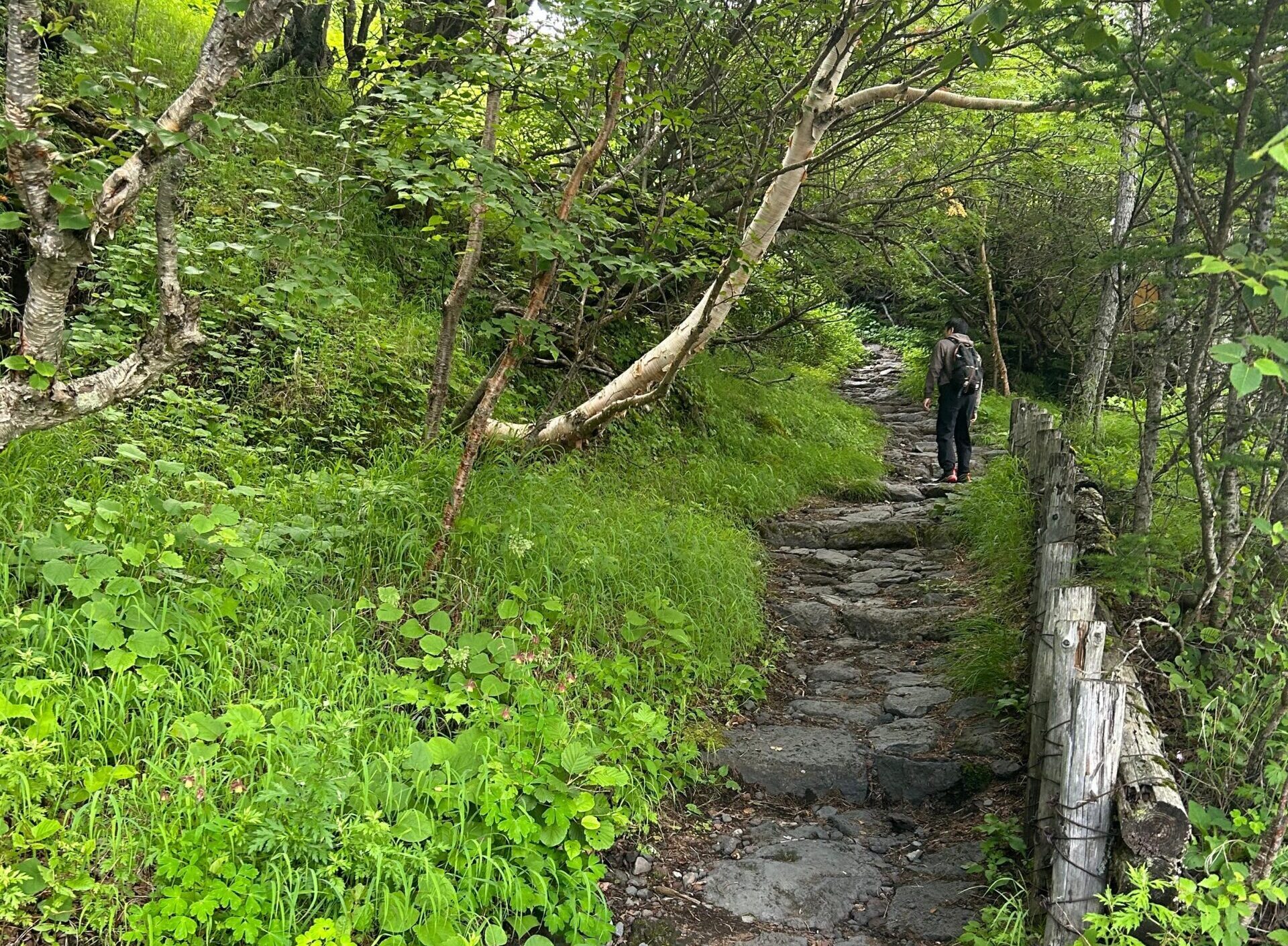 Mount Fuji Fujinomiya