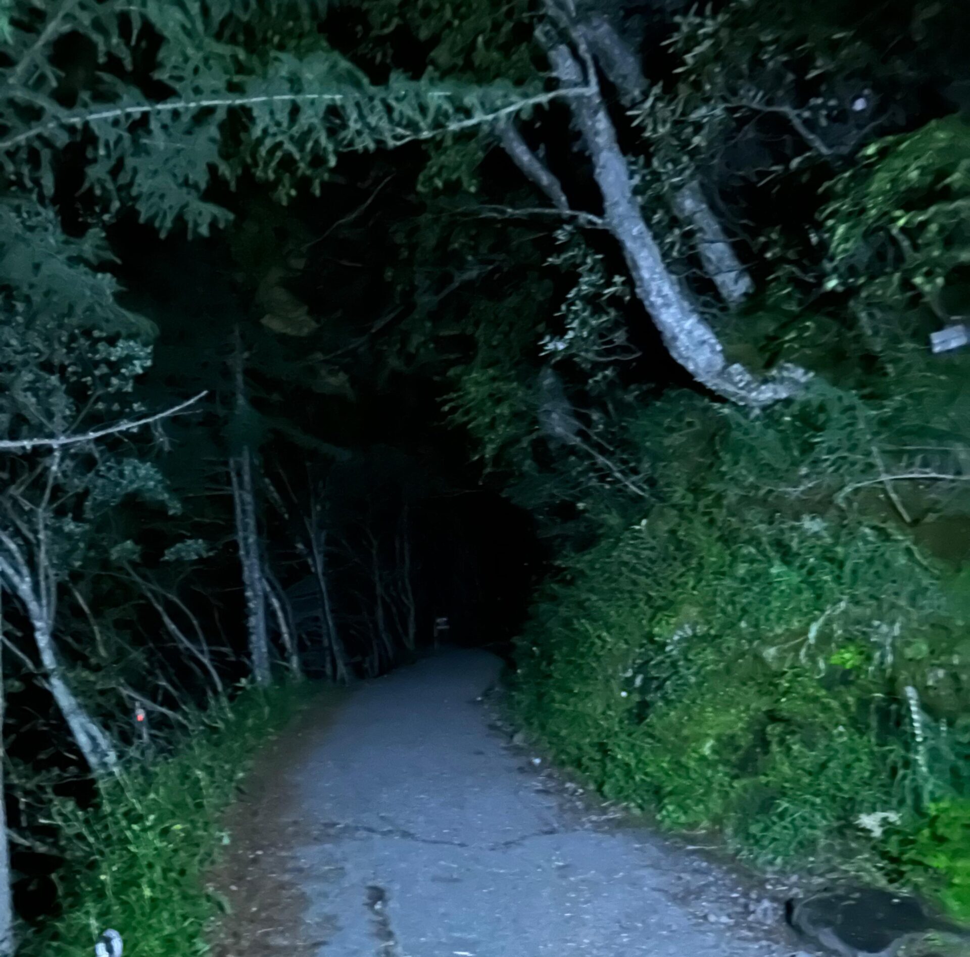 Mount Fuji Climbing in the night